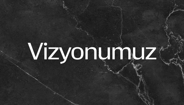 Vizyonumuz